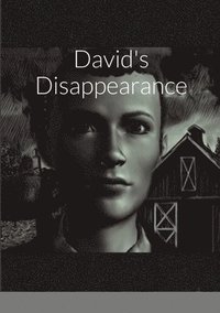 bokomslag David's Disappearance