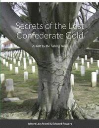bokomslag Secrets of the Lost Confederate Gold