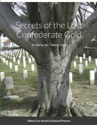 bokomslag Secrets of the Lost Confederate Gold