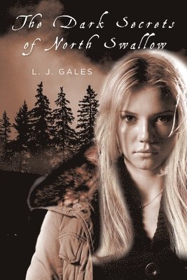 bokomslag Dark Secrets of North Swallow