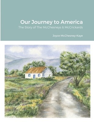 Our Journey to America 1