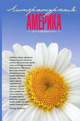 bokomslag Literary America #5