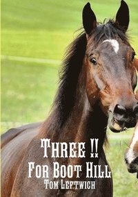bokomslag Three for Boot Hill