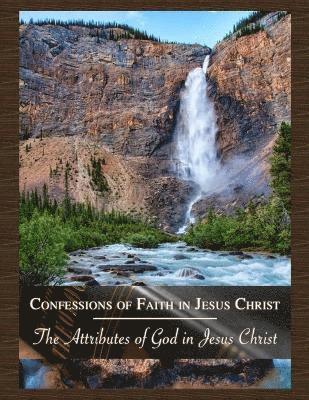 bokomslag Attributes of God in Jesus Christ