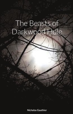bokomslag Beasts of Darkwood Hole