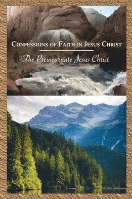 bokomslag Preincarnate Jesus Christ