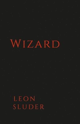 bokomslag Wizard