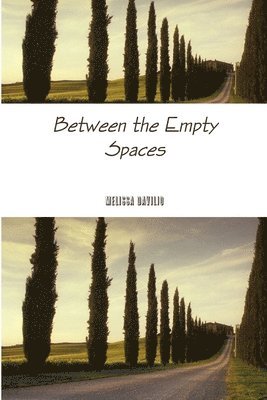 bokomslag Between the Empty Spaces