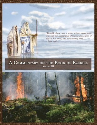 bokomslag Commentary on the Book of Ezekiel