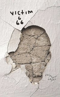 bokomslag Victim 666