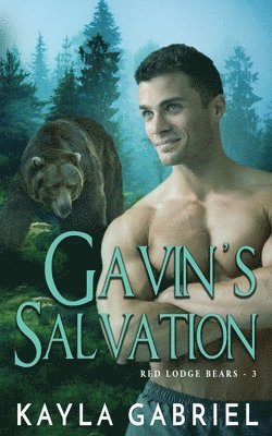 bokomslag Gavin's Salvation