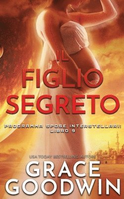 bokomslag Il Figlio Segreto