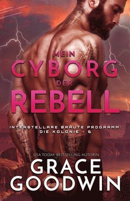 Mein Cyborg, der Rebell 1