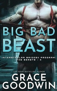 bokomslag Big Bad Beast