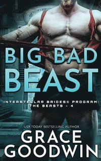 bokomslag Big Bad Beast