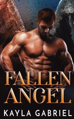 bokomslag Fallen Angel