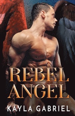 bokomslag Rebel Angel