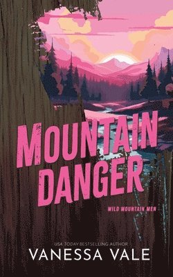bokomslag Mountain Danger