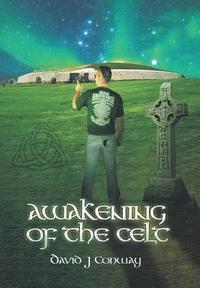 bokomslag Awakening of the Celt