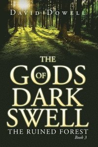 bokomslag Gods of Dark Swell
