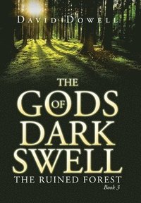 bokomslag Gods of Dark Swell