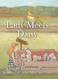 bokomslag Lady Meets Daisy