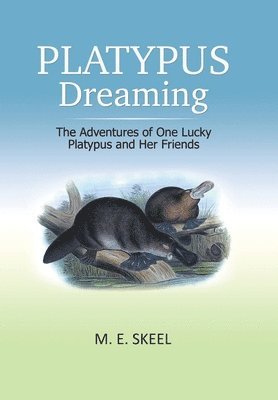 bokomslag Platypus Dreaming