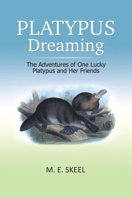 Platypus Dreaming 1