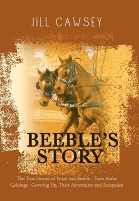 bokomslag Beeble's Story