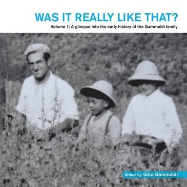 Gino Gammaldi - Was It Really Like That?, Häftad