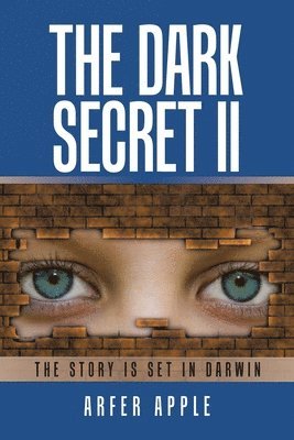 bokomslag Dark Secret Ii