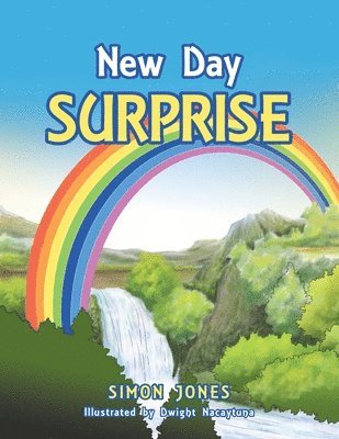 bokomslag New Day Surprise