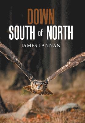 Down South of North