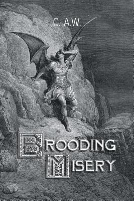 bokomslag Brooding Misery