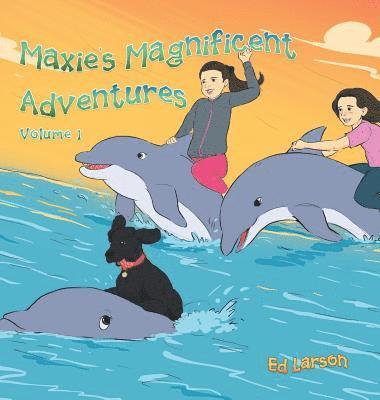 bokomslag Maxie's Magnificent Adventures