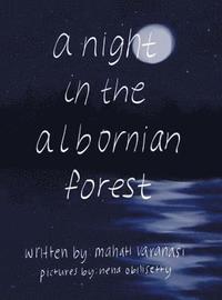 bokomslag A Night in the Albornian Forest