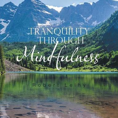 bokomslag Tranquility Through Mindfulness