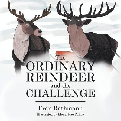 Ordinary Reindeer and the Challenge