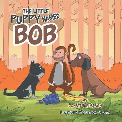 Little Puppy Named Bob