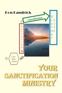 bokomslag Your Sanctification Ministry