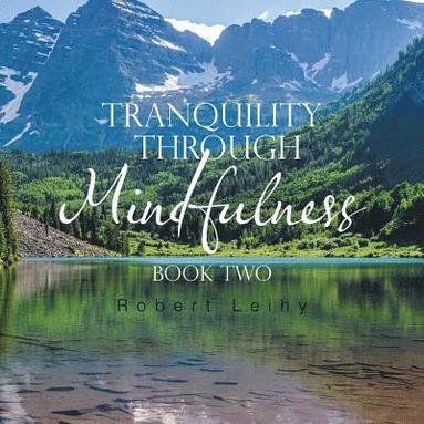 bokomslag Tranquility Through Mindfulness