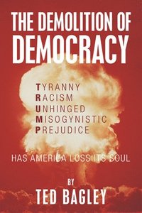 bokomslag The Demolition of Democracy: Has America Lost Its Soul