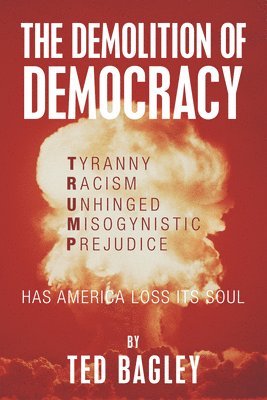 bokomslag The Demolition of Democracy: Has America Lost Its Soul