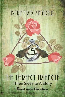 bokomslag Perfect Triangle