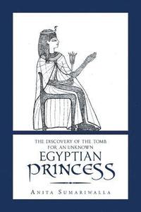 bokomslag The Discovery of the Tomb for an Unknown Egyptian Princess