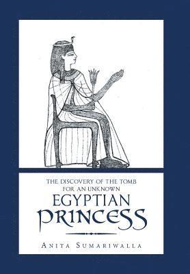 bokomslag The Discovery of the Tomb for an Unknown Egyptian Princess