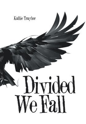 Divided We Fall 1