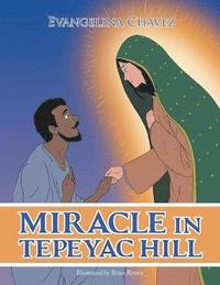 bokomslag Miracle in Tepeyac Hill