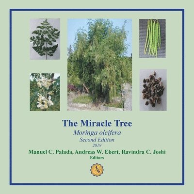 The Miracle Tree 1