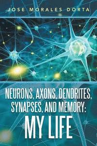 bokomslag Neurons, Axons, Dendrites, Synapses, and Memory